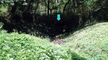 白山神社石垣
