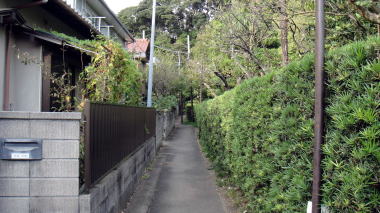 木曽塚への道