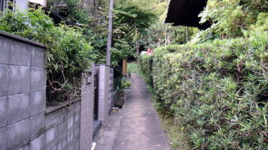 木曽塚への道2