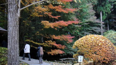 安楽寺の紅葉