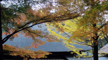 安楽寺の紅葉2