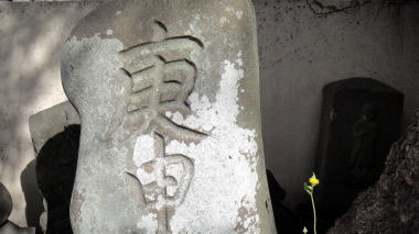 主馬盛久之頸坐5