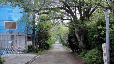 荏柄天神社参道2