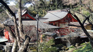 荏柄天神社本殿2