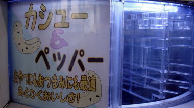 湘南クッキーアウトレット13