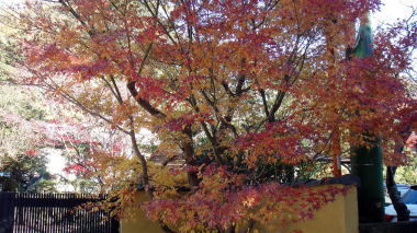 紅葉ヶ谷
