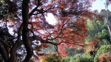 瑞泉寺5