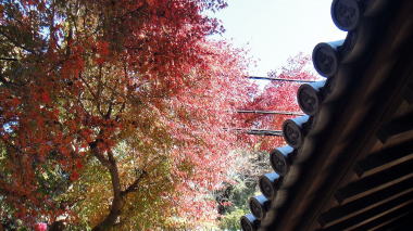 瑞泉寺6