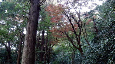 瑞泉寺15