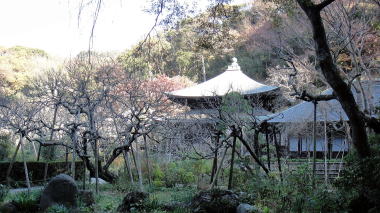 瑞泉寺22