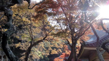 瑞泉寺35