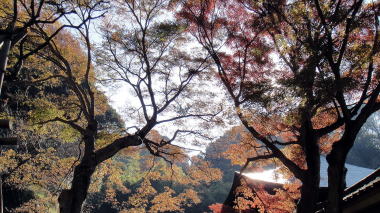 瑞泉寺37