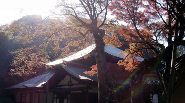 瑞泉寺45