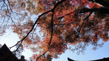 瑞泉寺38