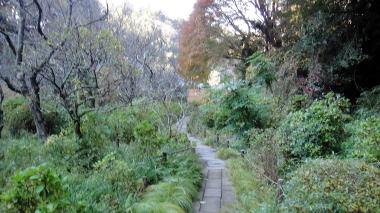 瑞泉寺46