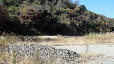 永福寺跡13