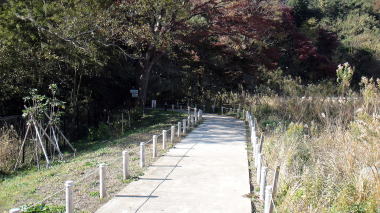 永福寺跡15