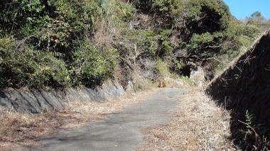大町釈迦堂口遺跡3