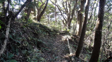 衣張山登山道
