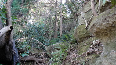 衣張山登山道7