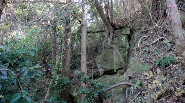 衣張山登山道8