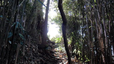 衣張山登山道9