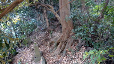 宝戒寺墓地25