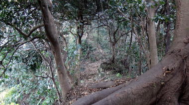 宝戒寺墓地26