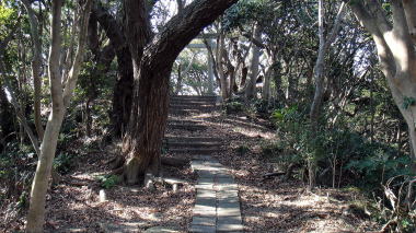 秋葉大権現参道5