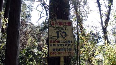 馬頭観音の分岐2