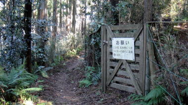 田浦梅の里への道