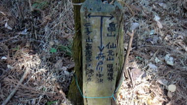 分岐9