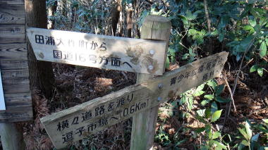 分岐11