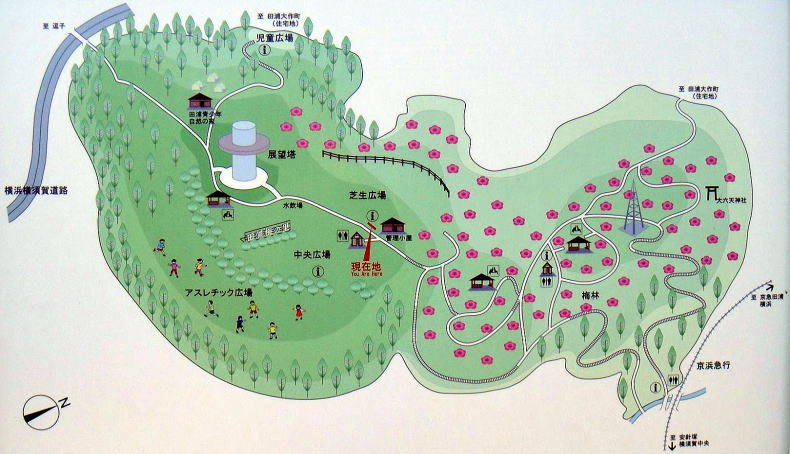田浦梅の里案内図