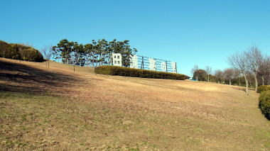 田浦梅の里看板