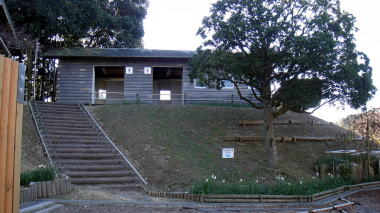 トイレ2