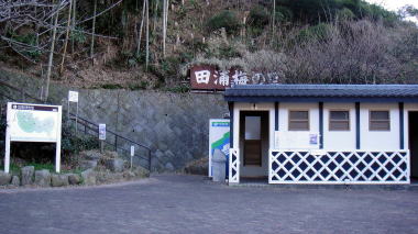 トイレ3