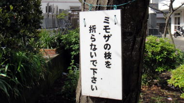 来迎寺3
