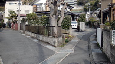 薬王寺駒繋石