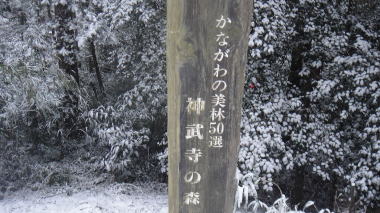 神武寺の森