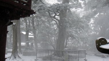 吹雪の境内
