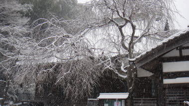 法勝寺3