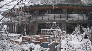 法勝寺4