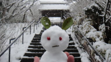 雪ウサギ1
