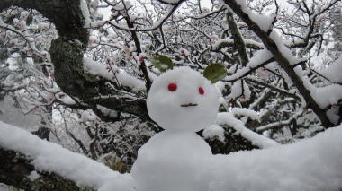 雪ウサギ2