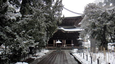 建長寺のビャクシン1