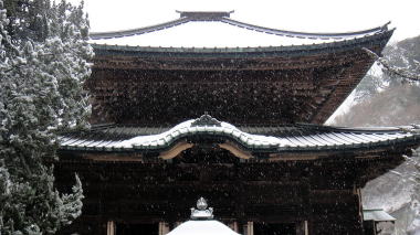 建長寺のビャクシン4