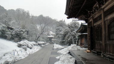 法堂横の道