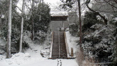 回春院