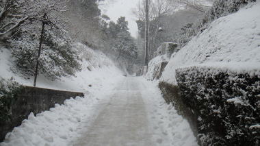 亀ヶ谷坂